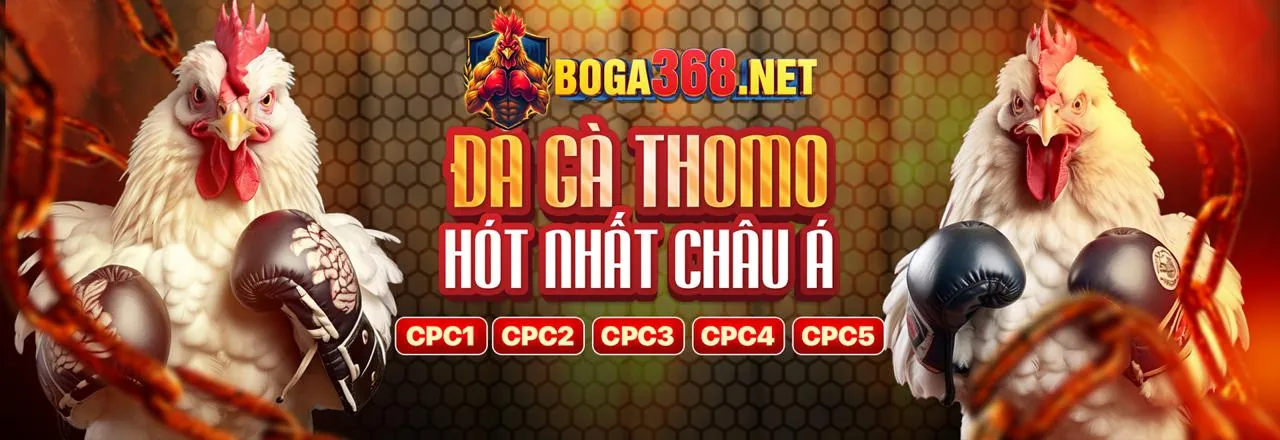 Sòng bạc trực tuyến SBOBET sang trọng và hiện đại
